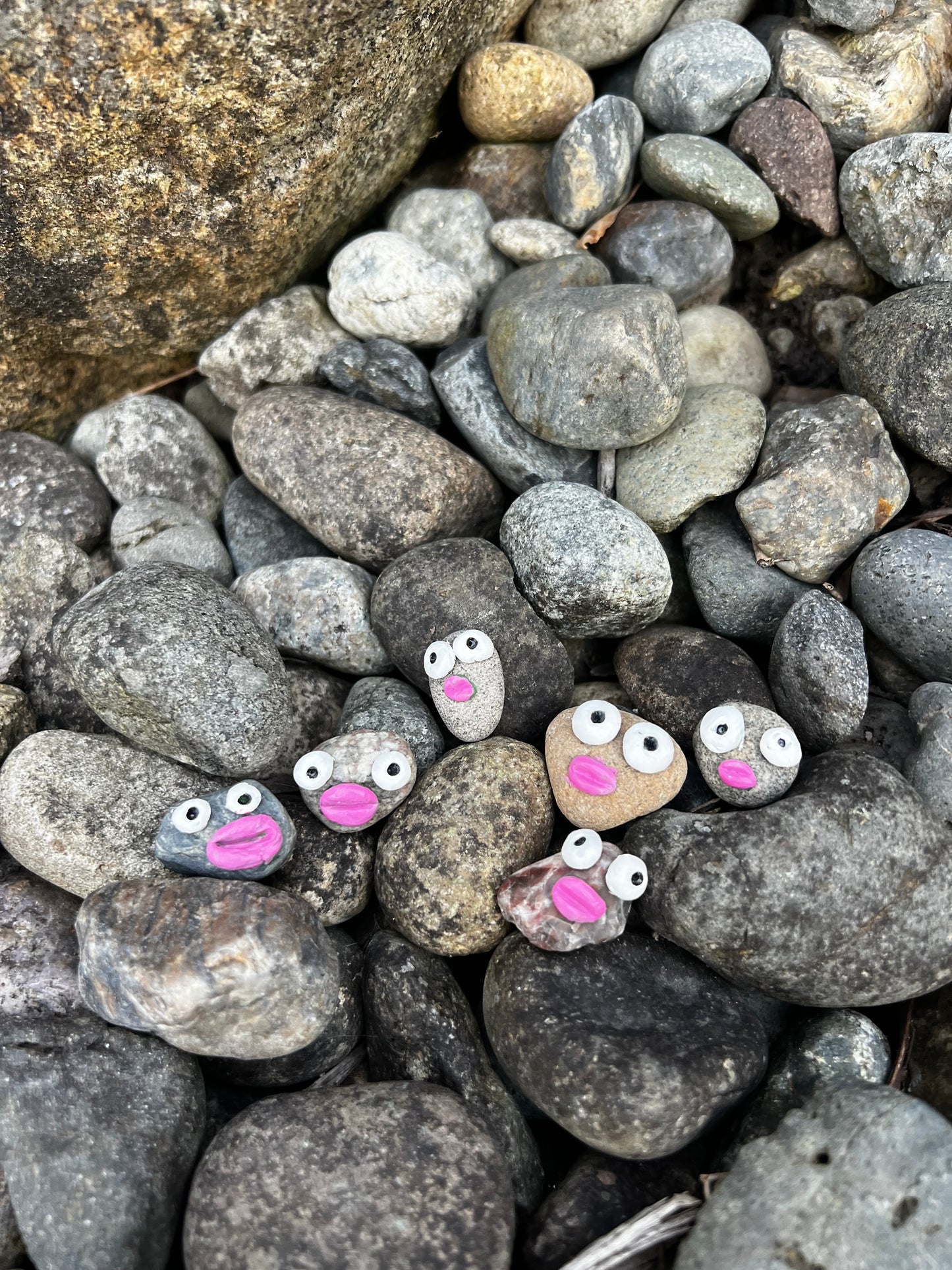 Rocks with faces and stuff