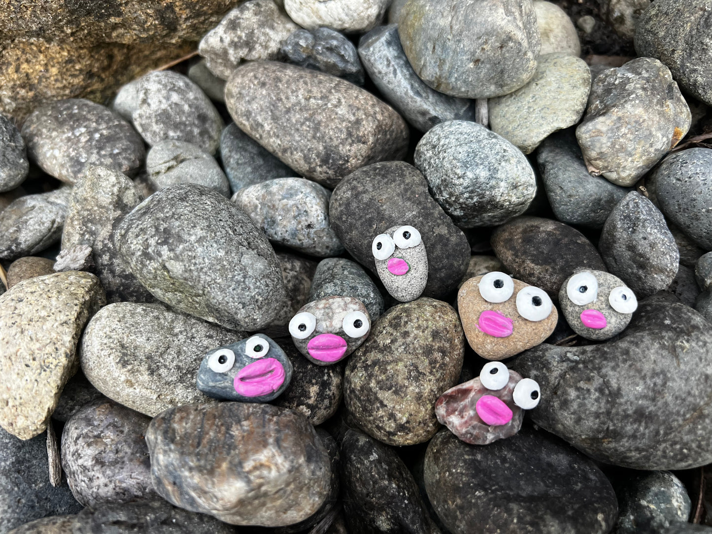 Rocks with faces and stuff