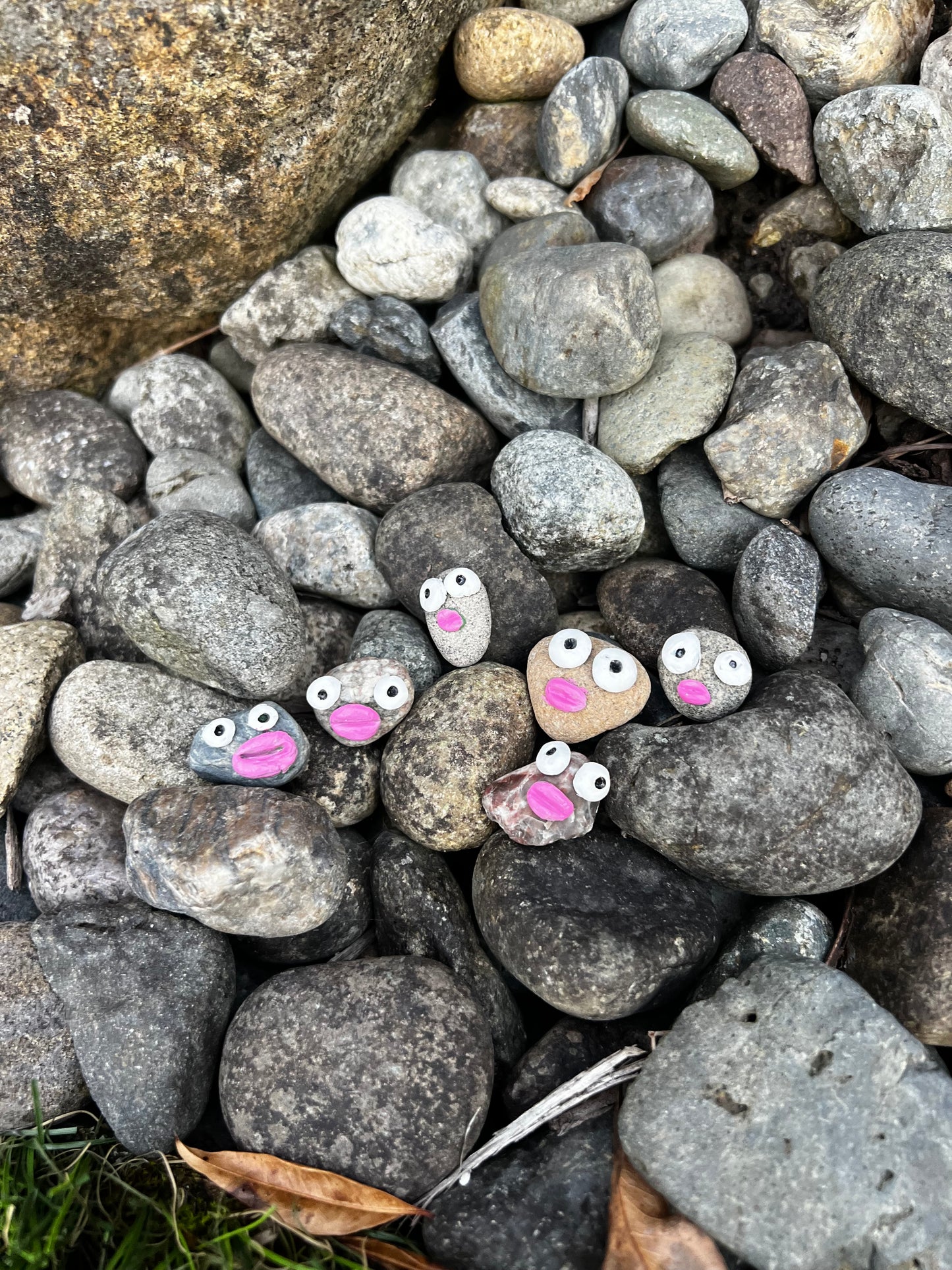 Rocks with faces and stuff