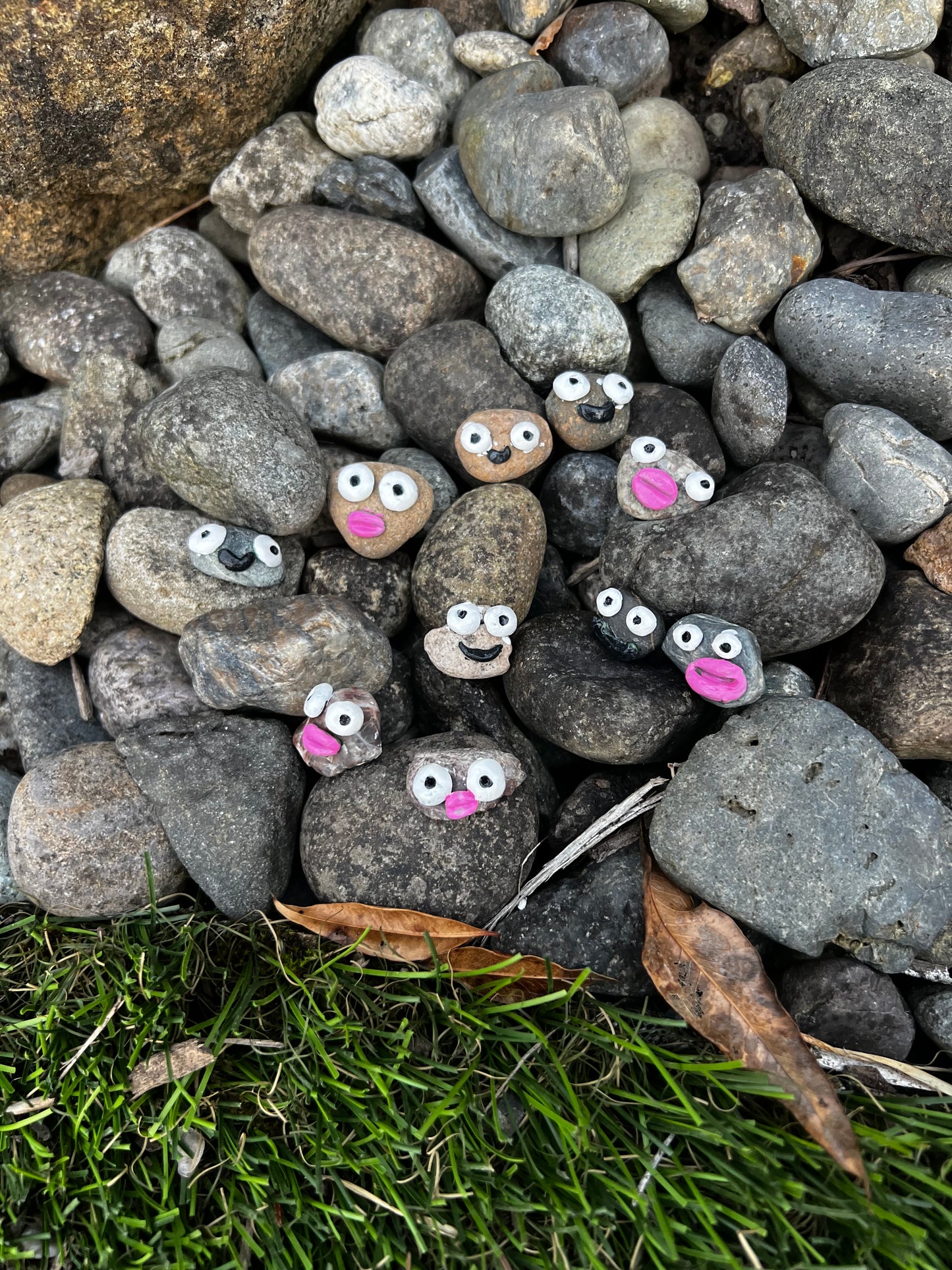 Rocks with faces and stuff